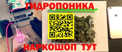 не бодяженный Камышлов