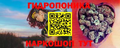 не бодяженный Камышлов