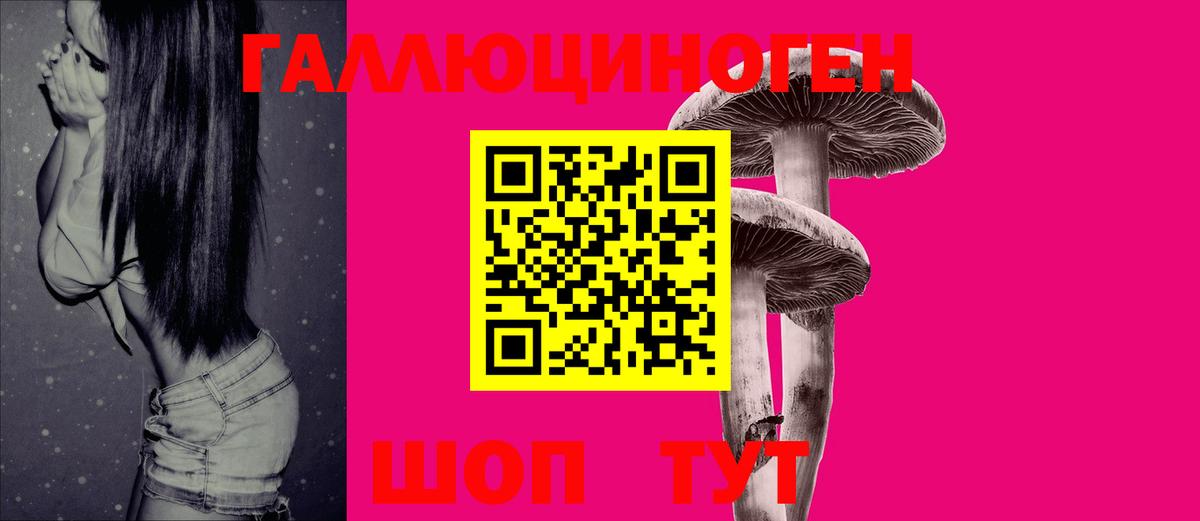 наркошоп  Вход с VPN  Янаул  Галлюциногенные грибы GOLDEN TEACHER 